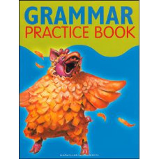 SPOTLIGHT ON LIT. G3 GRAMMAR P.BOOK 2000