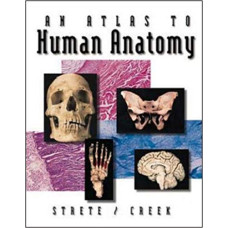 AN ATLAS TO HUMAN ANATOMY