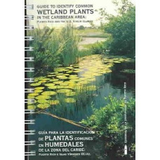 PLANTAS COMUNES EN HUMEDALES DEL CARIBE PLANTAS COMUNES EN HUMEDALES DEL CARIBE