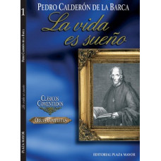 LA VIDA ES SUEÑO                        