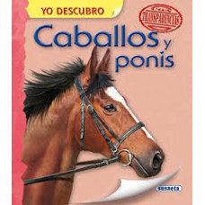 CABALLOS Y PONIS