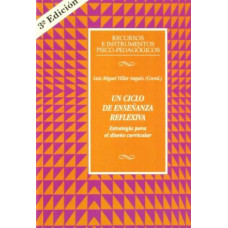 UN CICLO DE ENSENANZA REFLEXIVA