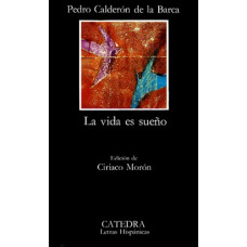 LA VIDA ES SUEÑO                        