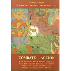COMBATE ACCION