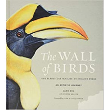 WALL BIRDS