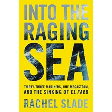 INTO THE RAGING SEA