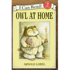 OWL AT HOME                             