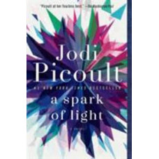 A SPARK OF LIGHT
