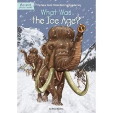 WHAT WAS THE ICE AGE