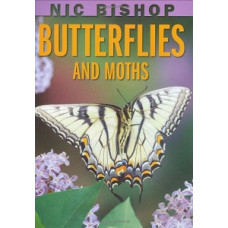 NIC BISHOP BUTTERFLIES AND MOTHS