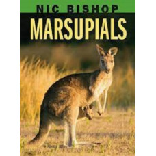 NIC BISHOP MARSUPIALS