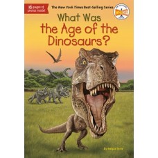 WHAT WAS THE AGE OF THE DINOSAURS