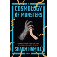 A COSMOLOGY OF MONSTERS