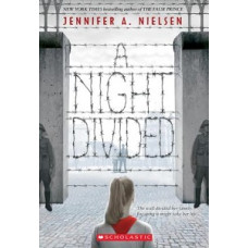 A NIGHT DIVIDED                         