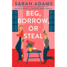 BEG BORROW OR STEAL BOOK 3