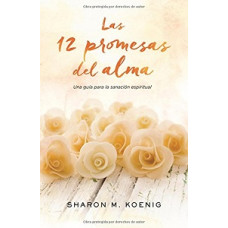 LAS 12 PROMESAS PARA EL ALMA