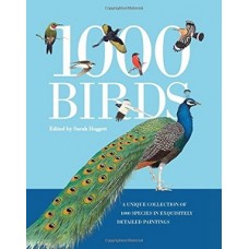 1000 BIRDS