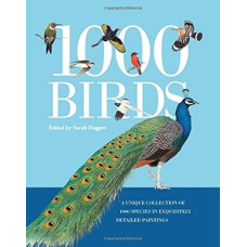 1000 BIRDS