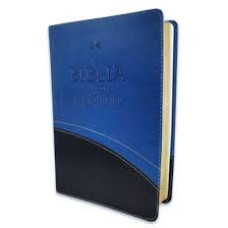 LA BIBLIA EN ORDEN CRONOLOGICO          