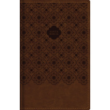 RVR 1960 SANTA BIBLIA