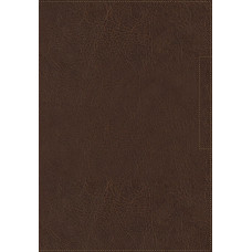 BIBLIA NVI PALABRA DE ALIENTO