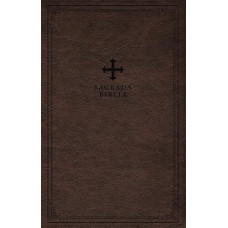 LA BIBLIA CATOLIA  TAMAÑO PERSONAL      