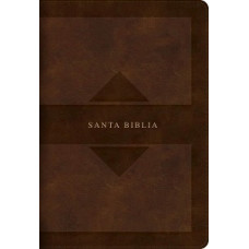 RVR 1960 SANTA BIBLIA EDIC TIERRA SANTA