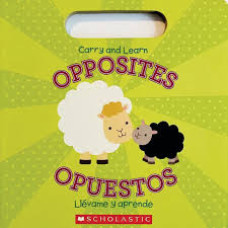 CARRY AND LEARN OPPOSITE
