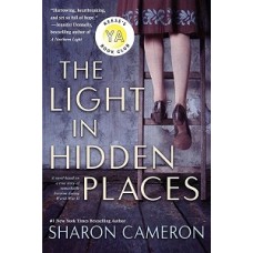 THE LIGHT IN HIDDEN PLACES