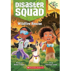 WILDFIRE RESCUE 1