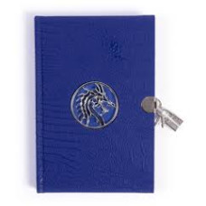 BLUE DRAGON DIARY