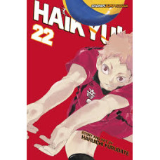 HAIKYU #22