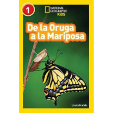 DE LA ORUGA A LA MARIPOSA               