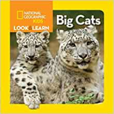BIG CATS