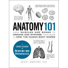 ANATOMY 101