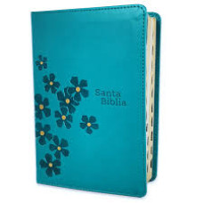 SANTA BIBLIA NUEVA TRADUCCION VIVIENTE  