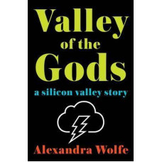 VALLEY OF THE GODS A SILICON VALLEY STOR