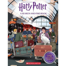 HARRY POTTER WHERE IN THE WIZARDING WORL