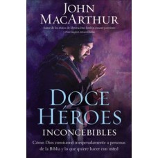 DOCE HEROES INCONCEBIBLES COMO COMISION
