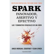 SPARK INNOVADOR ASERTIVO Y EFECTIVO SPARK INNOVADOR ASERTIVO Y EFECTIVO