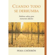 CUANDO TODO SE DERRUMBA CUANDO TODO SE DERRUMBA