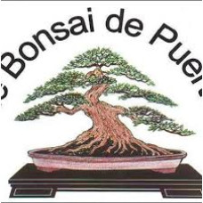 BONSAI EN PUERTO RICO