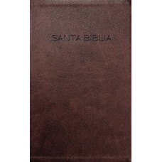 SANTA BIBLIA NVI
