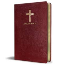 BIBLIA CATOLICA                         
