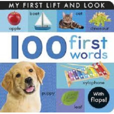 100 FIRST WORDS MY FIRST LIFT AND LOOK