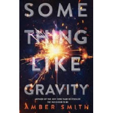 SOMETHING LIKE GRAVITY