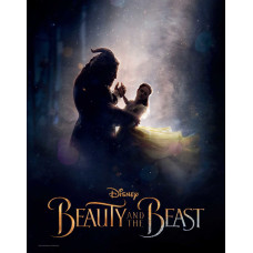 BEAUTY AN THE BEAST THE POSTER COLLECTIO