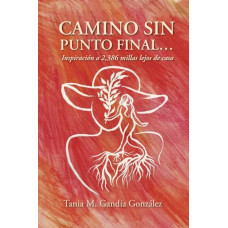 CAMINO SIN PUNTO FINAL