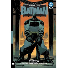 ABSOLUTE  BATMAN VOL 1                  