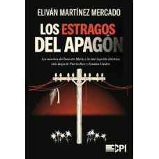 LOS ESTRAGOS DEL APAGON                 